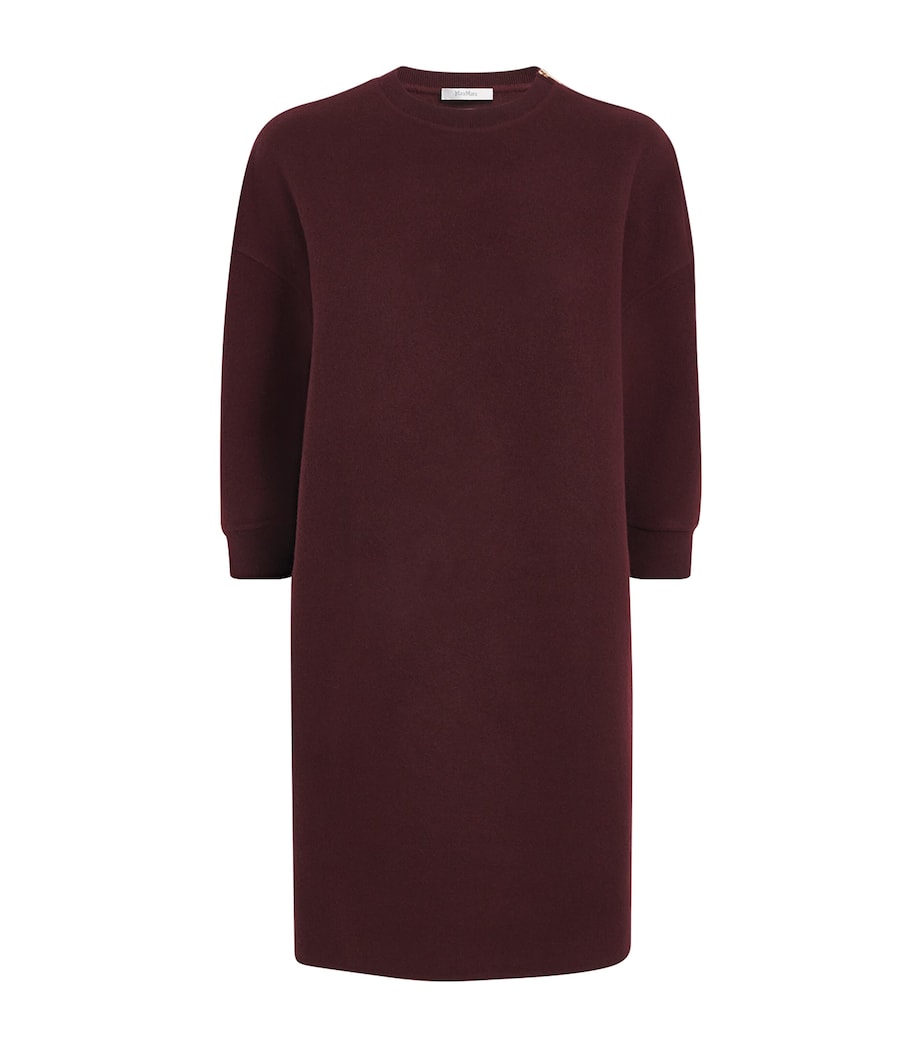 Max Mara Wool-Blend Jersey Mini Dress