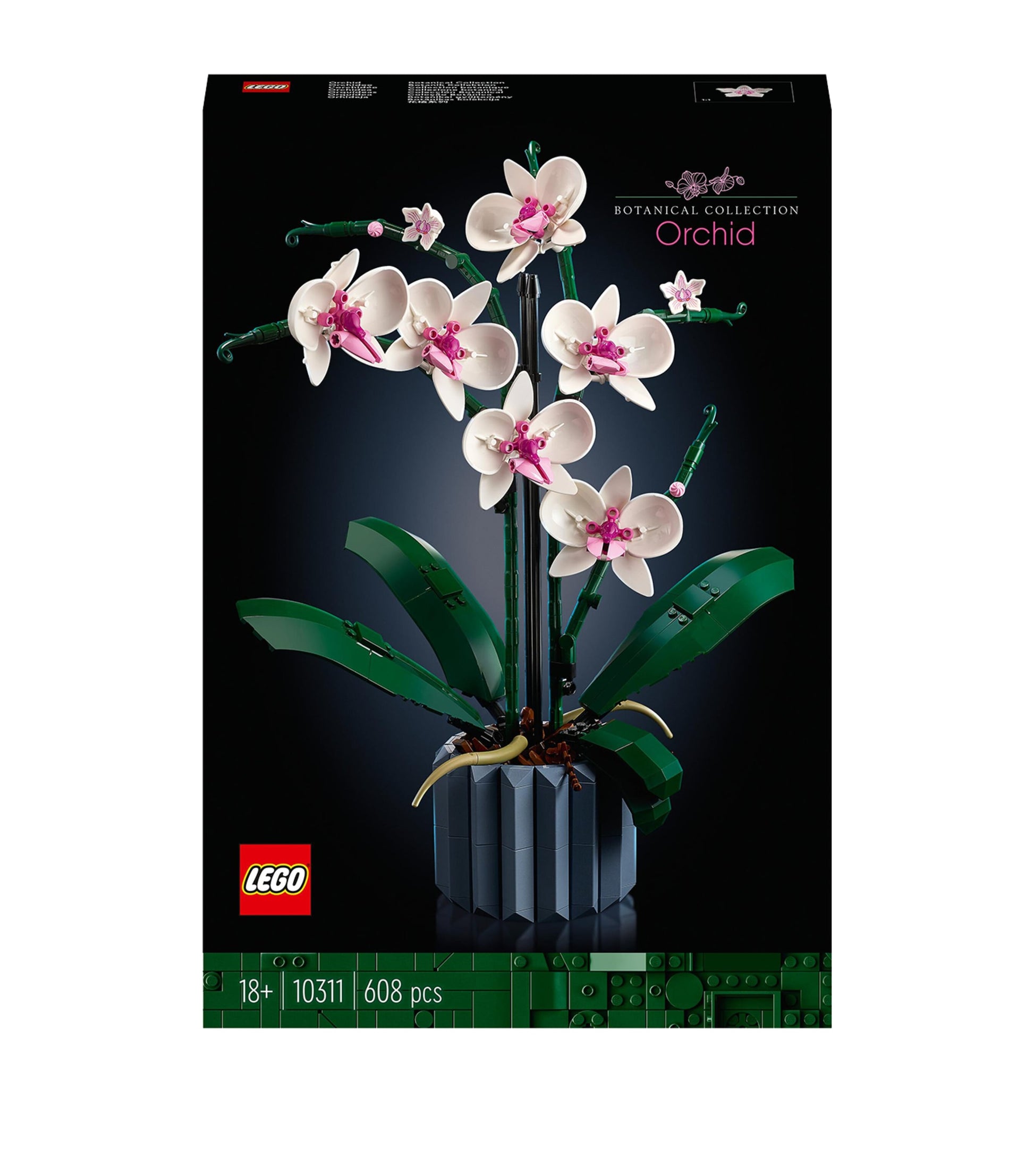 Orchid Display 10311