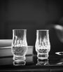 Set of 2 Lismore Connoisseur Tasting Tumblers (179ml)