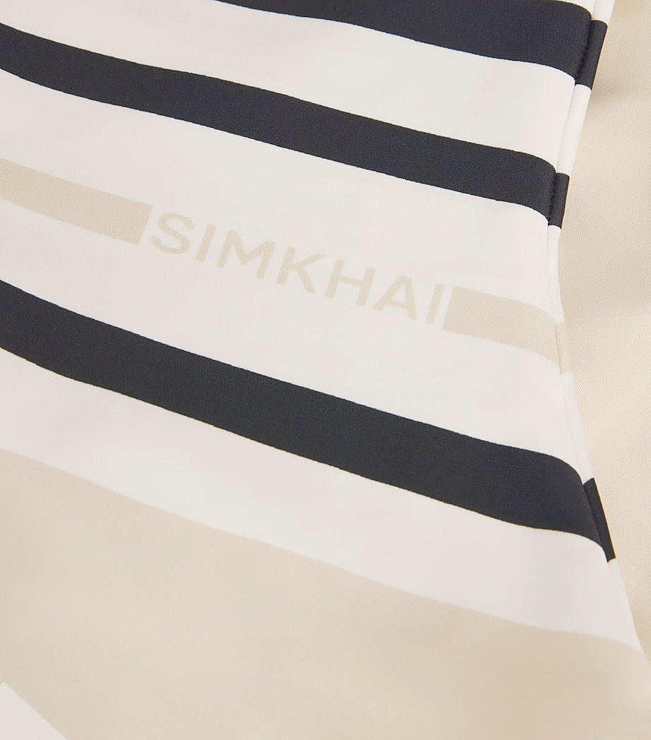 Multi Stripe Walker Swimsuit