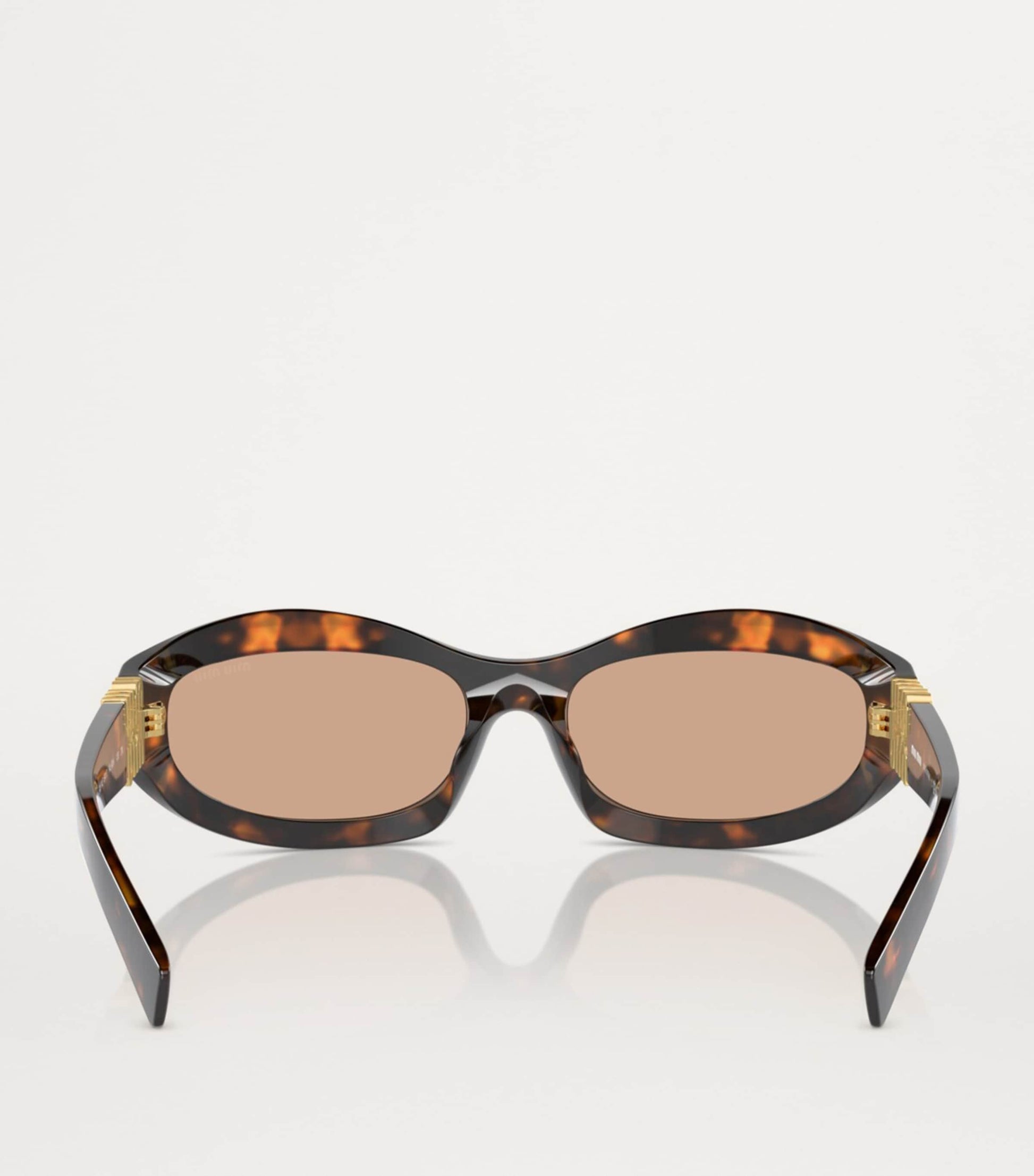Brown Acetate Cat Eye MU14ZS Sunglasses