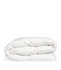 Single Chateau Canadian Goose Down Warm Duvet (10 Tog)