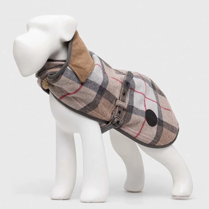 Яке за домашен любимец Barbour