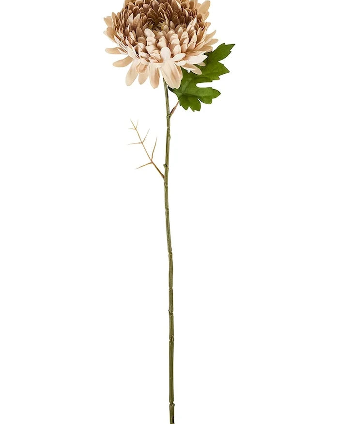 House Doctor HDChrysanthemum Yapay Çiçek 14 x 60 cm