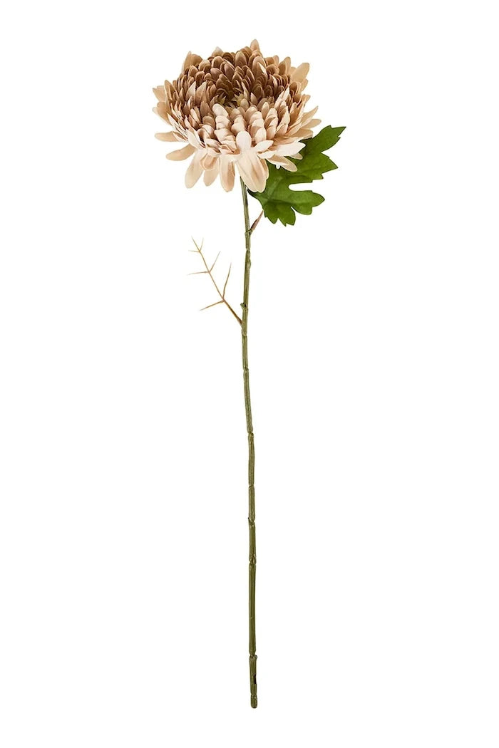 House Doctor HDChrysanthemum Yapay Çiçek 14 x 60 cm