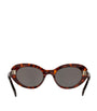Celine Acetate CL40193I Sunglasses