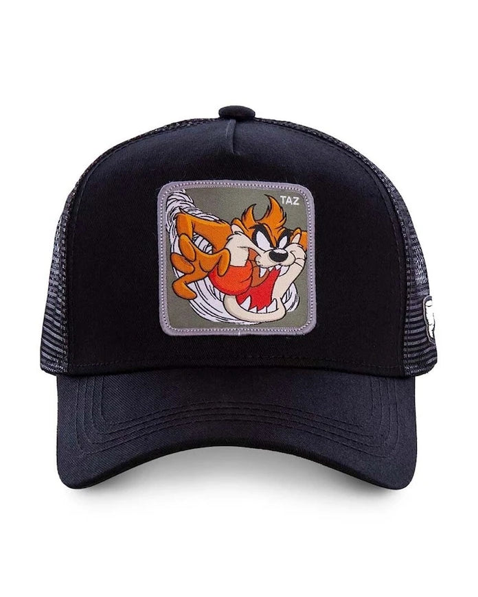 Capslab шапка