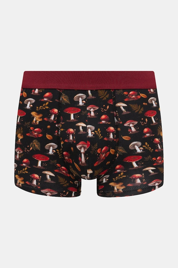 Medicine Boxer (3'lü)