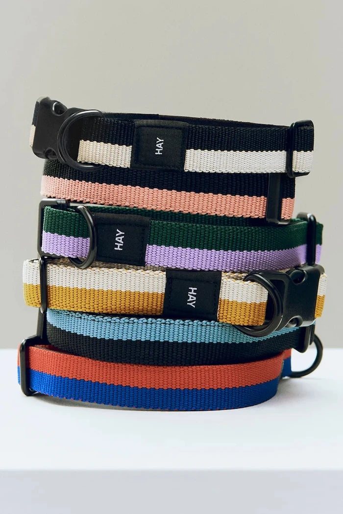 HAY Köpek Tasması M/L 2,5 x 40-65 cm