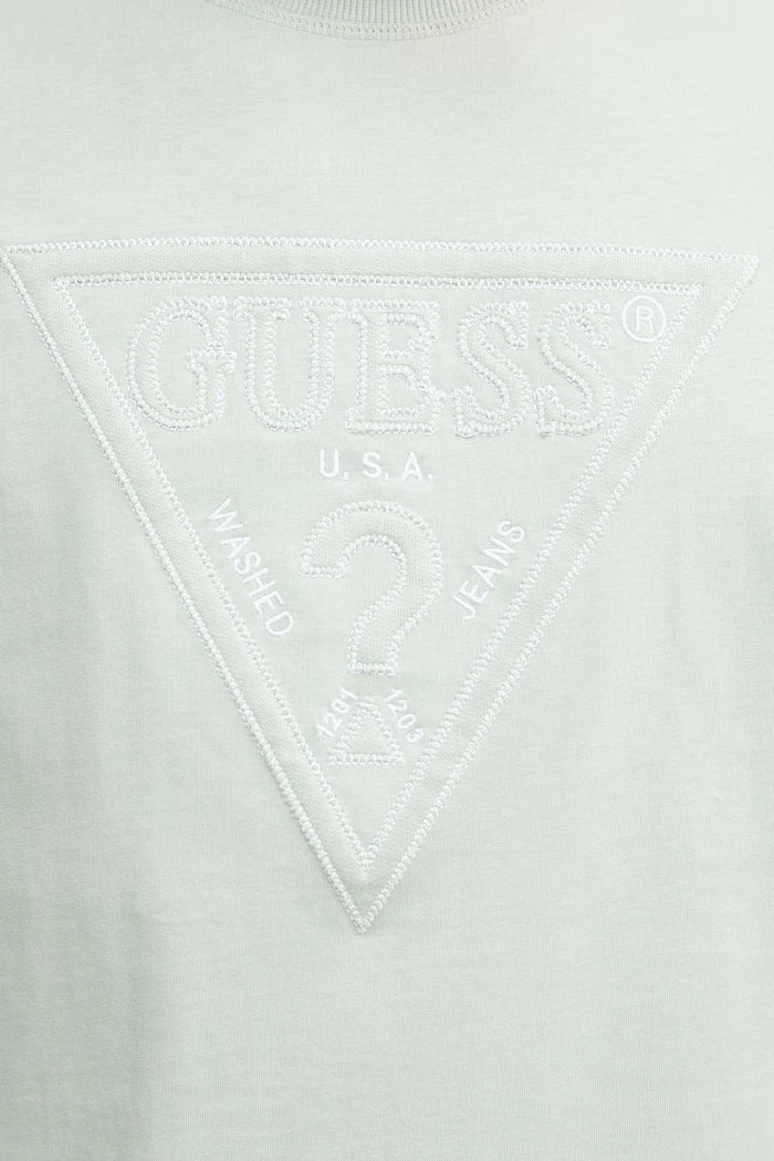 Guess erkek pamuklu tişört