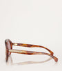 Moncler Brown Acetate Fhaite ME6001 Sunglasses