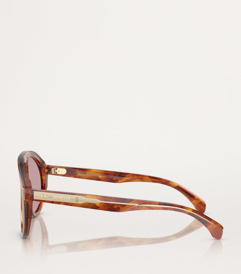 Moncler Brown Acetate Fhaite ME6001 Sunglasses