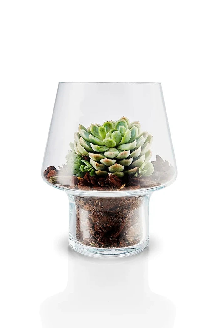 Декоративна ваза Eva Solo Succulent 21 cm