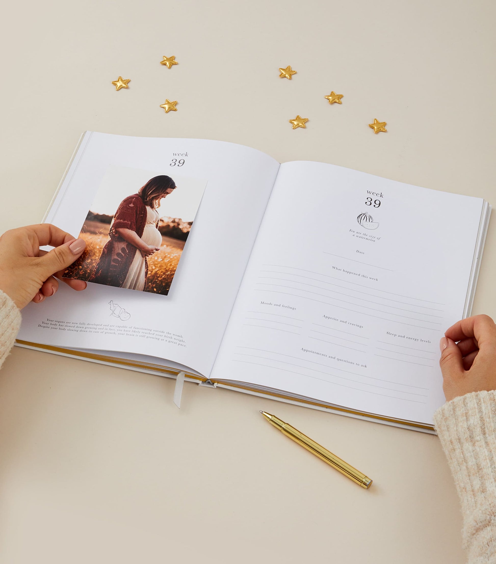 Blush and Gold Safari My Pregnancy Journal