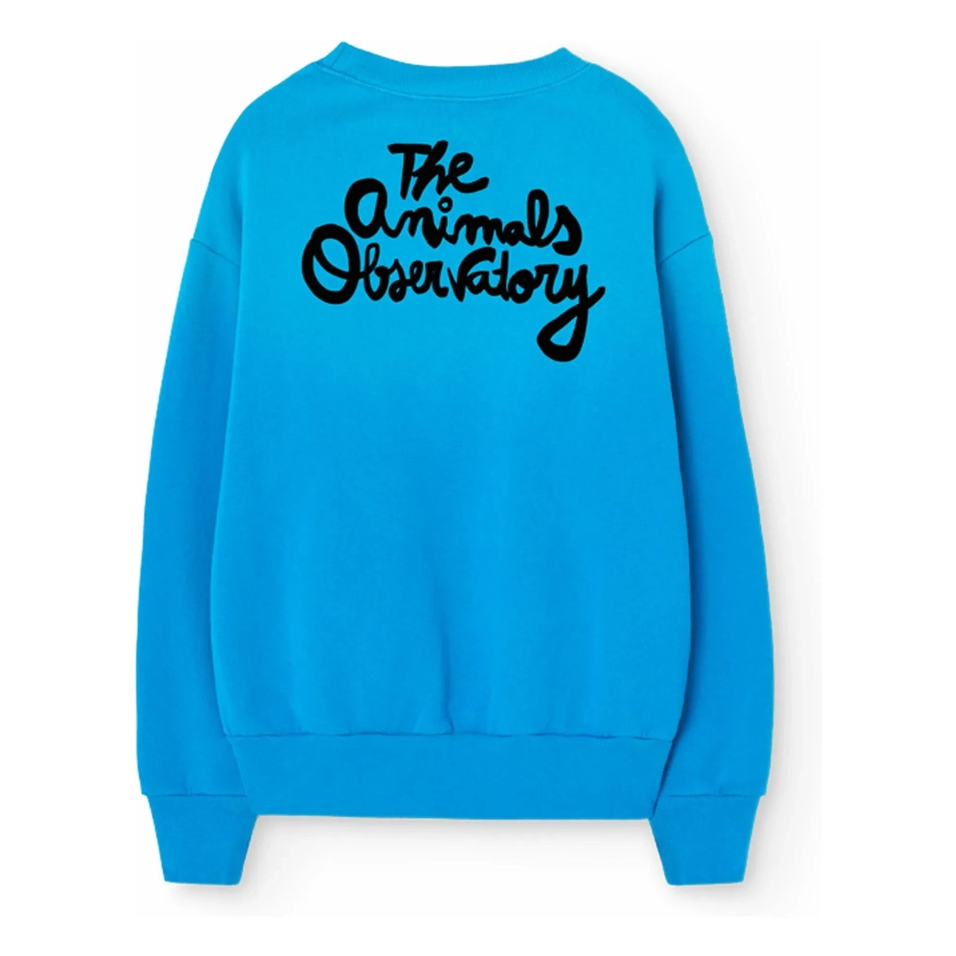 The Animals Observatory - Sweat Bear Anchor | Azure blue