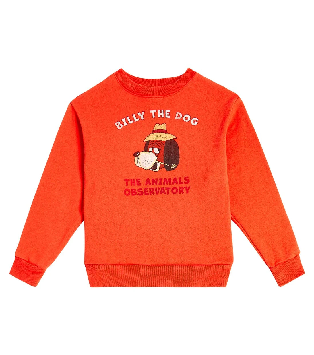 The Animals Observatory - Bear cotton jersey sweatshirt