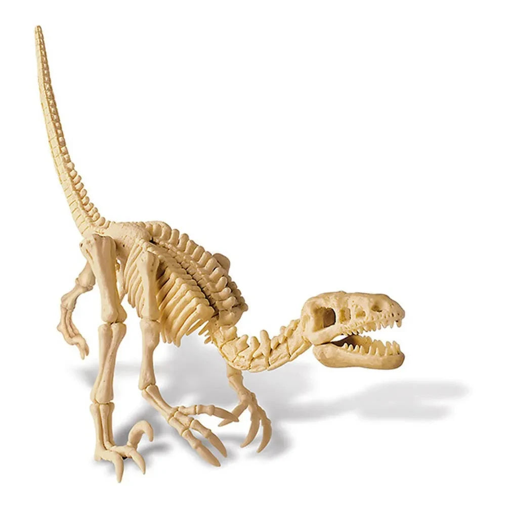 4M - Dig A Velociraptor Kit