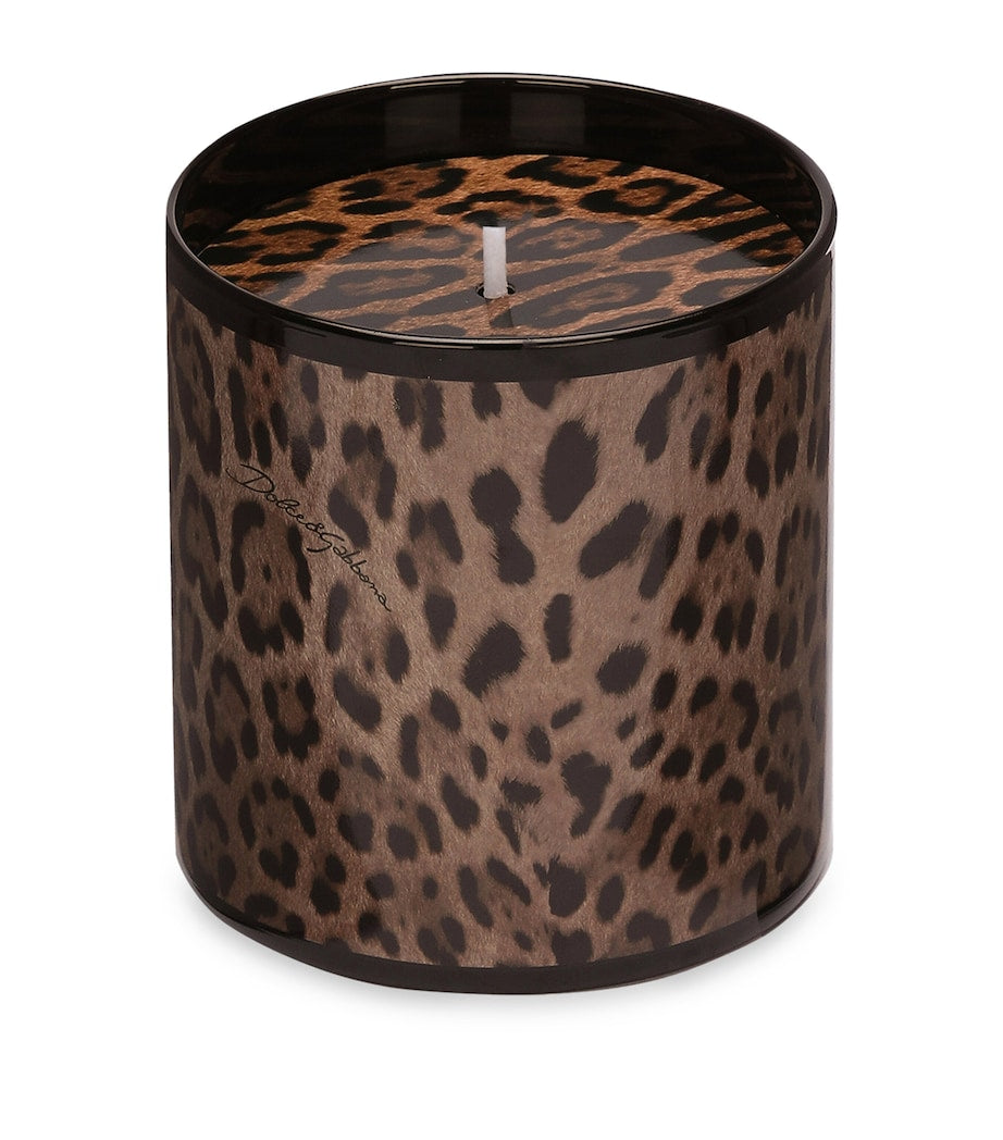 Dolce & Gabbana Casa Leopardo Patchouli Candle (380g)