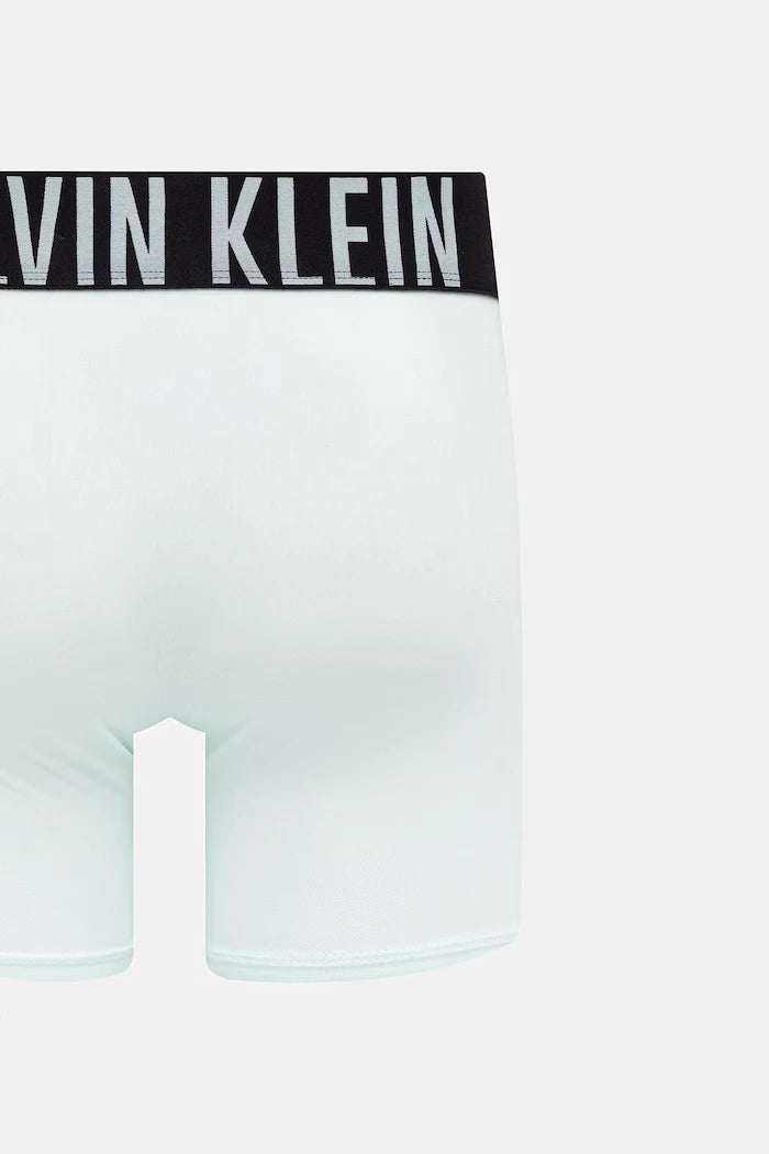 Calvin Klein Underwear erkek boxer 3’lü