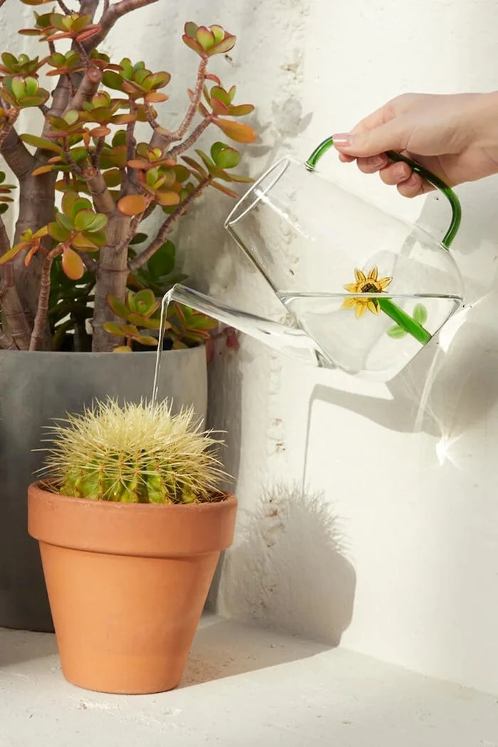 Balvi Dekoratif Renkli Cam Sulama Kabı 1 l