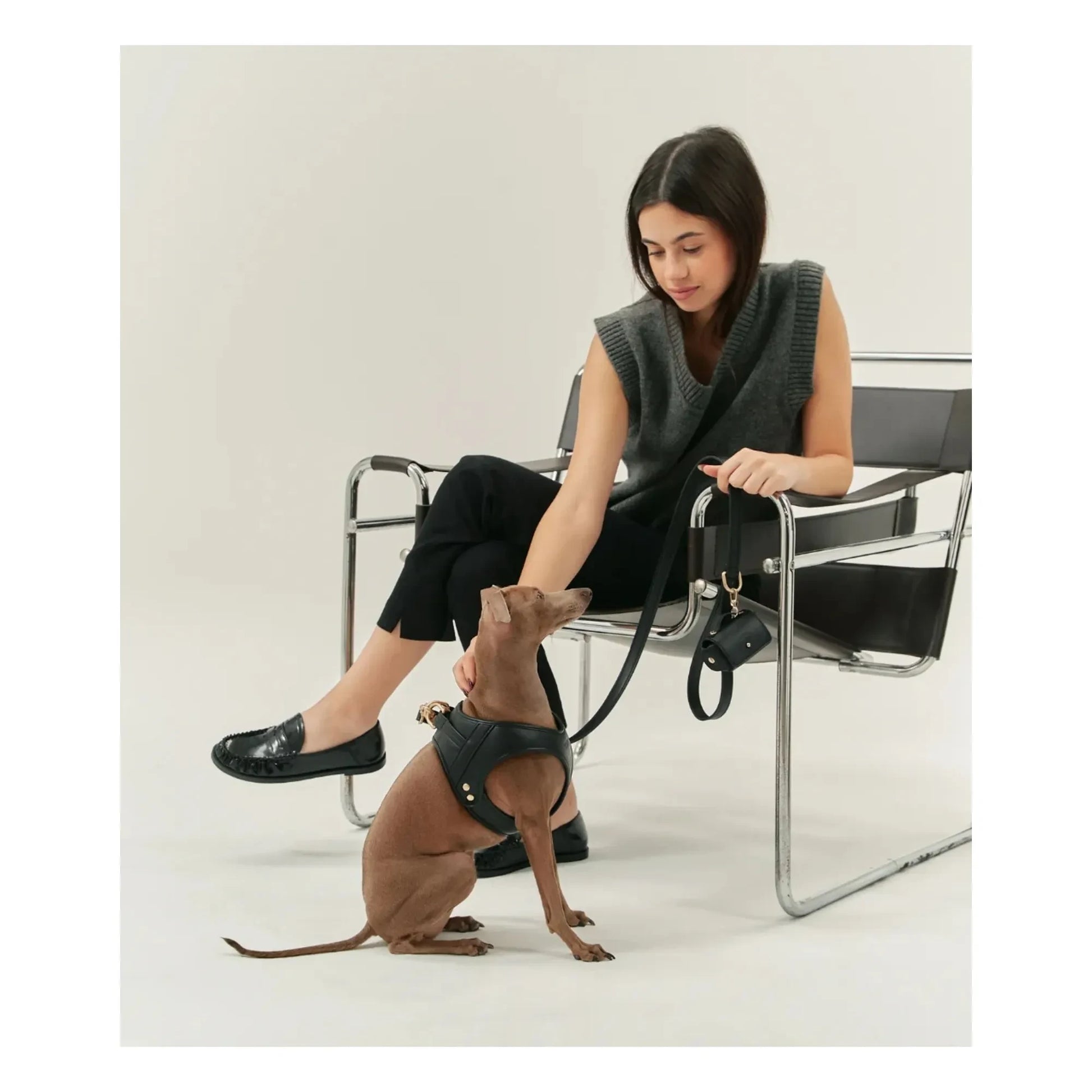 Cafide - Vegan leather dog leash | Black