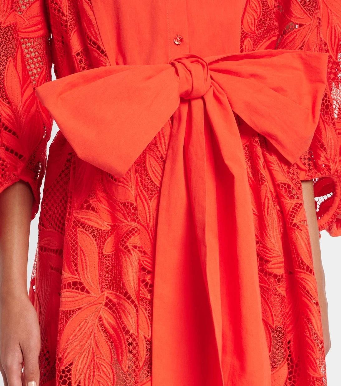 Erdem - Embroidered mesh midi dress