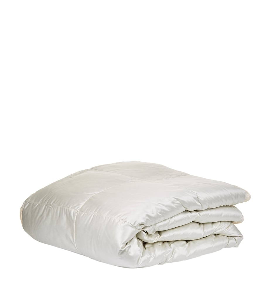 Brinkhaus Single Arctic Duck Down Duvet (8.5 Tog)