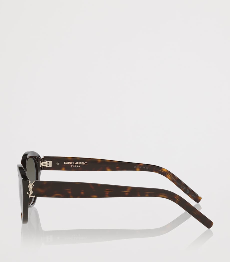 Saint Laurent Brown Acetate Round Sunglasses