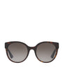 Brown Acetate 0GC001661 Sunglasses