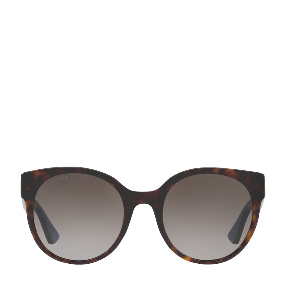 Brown Acetate 0GC001661 Sunglasses