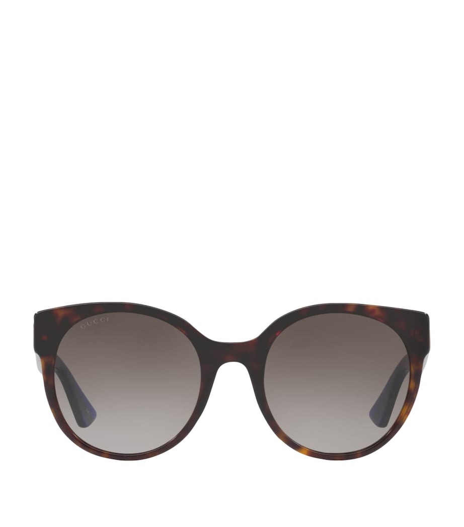 Brown Acetate 0GC001661 Sunglasses
