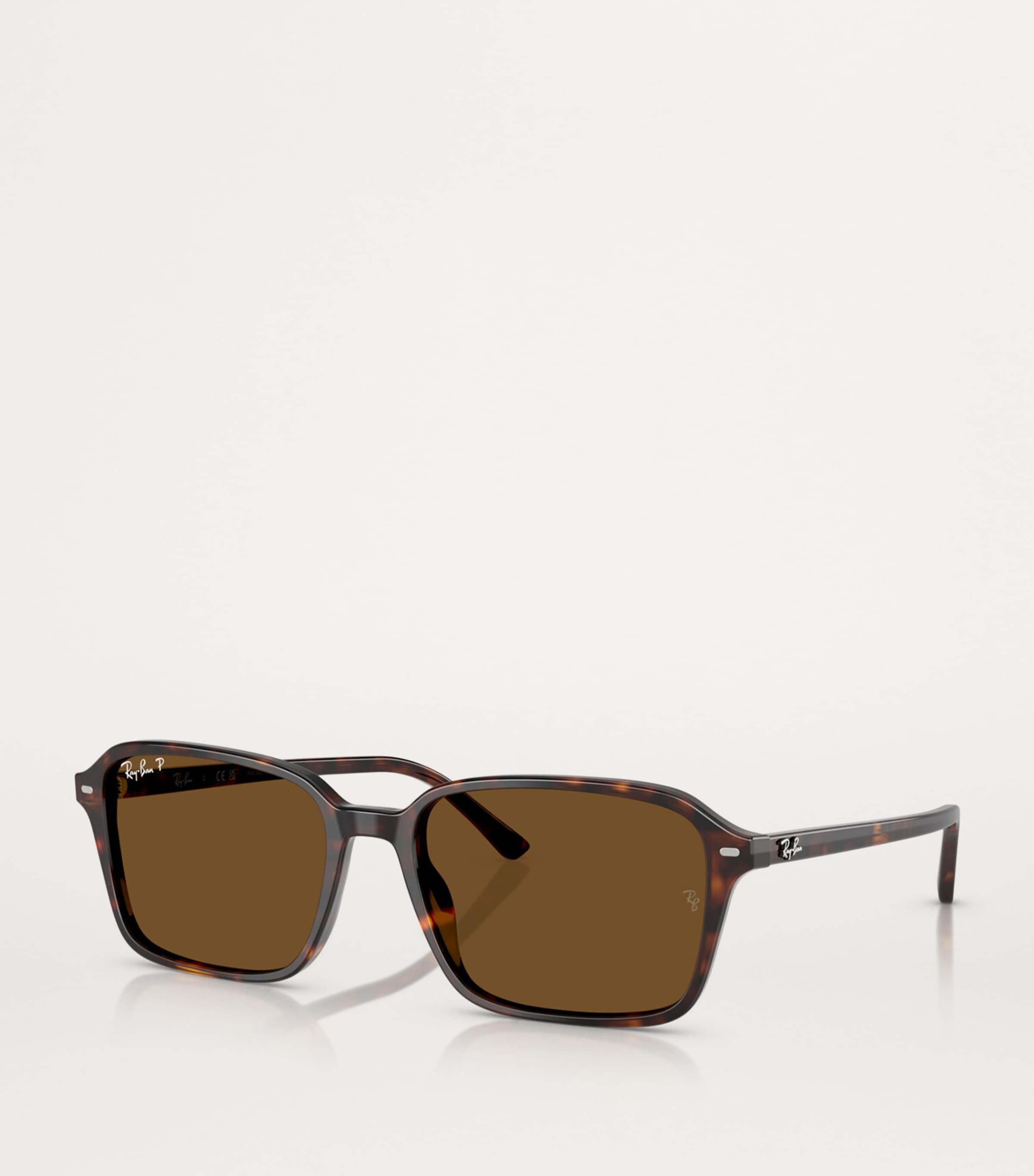 Ray-Ban Brown RB2231 Raimond Sunglasses