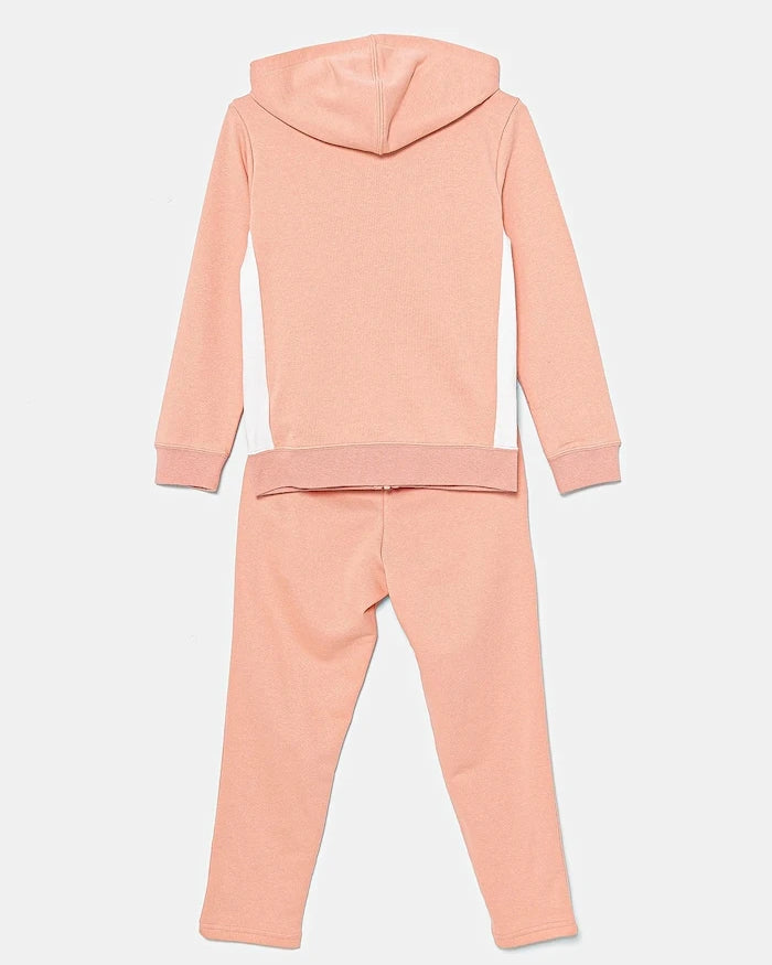 Çocuk eşofman takımı Puma Metallic Hooded Sweat Suit TR