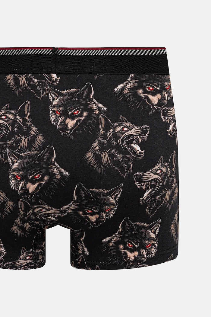 Medicine Boxer (2'li)
