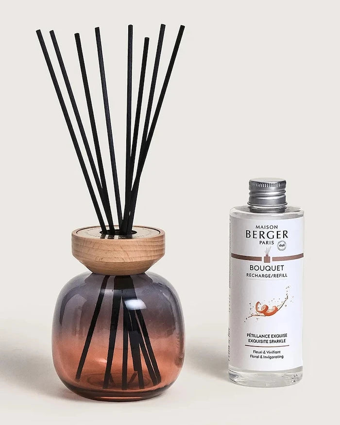 Maison Berger Paris Kokulu Difüzör 260 ml