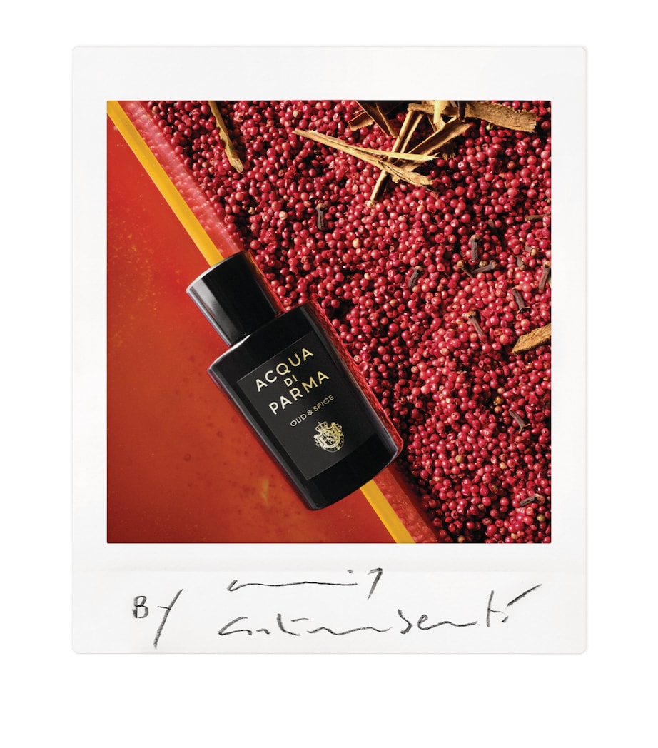 Oud & Spice Eau de Parfum (180ml)