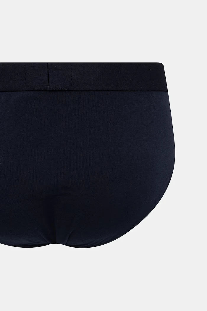 Emporio Armani Underwear erkek slip pamuk elastan 2’li