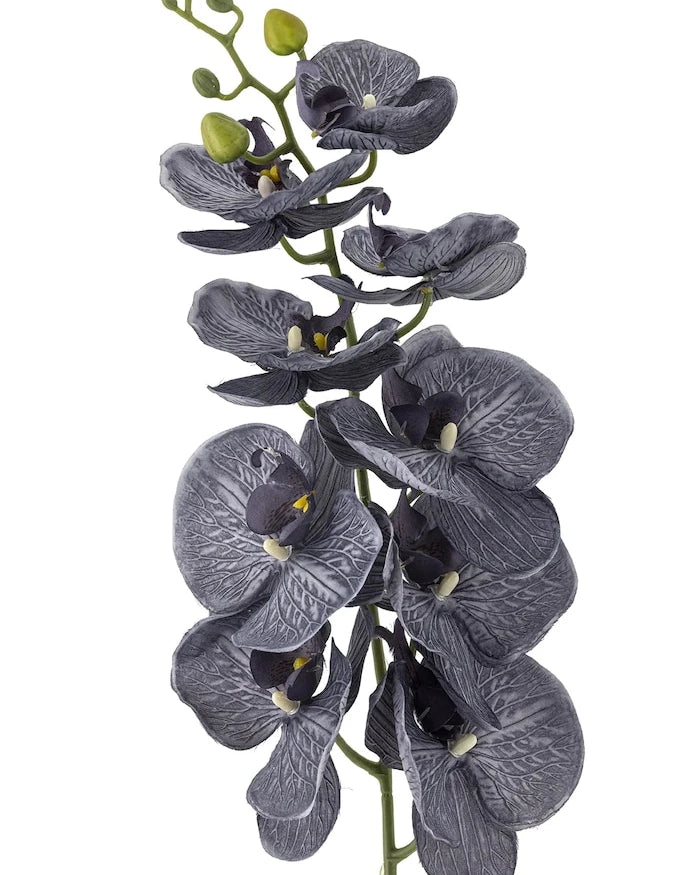 Bloomingville Yapay Çiçekler Orchid Stem 105 cm