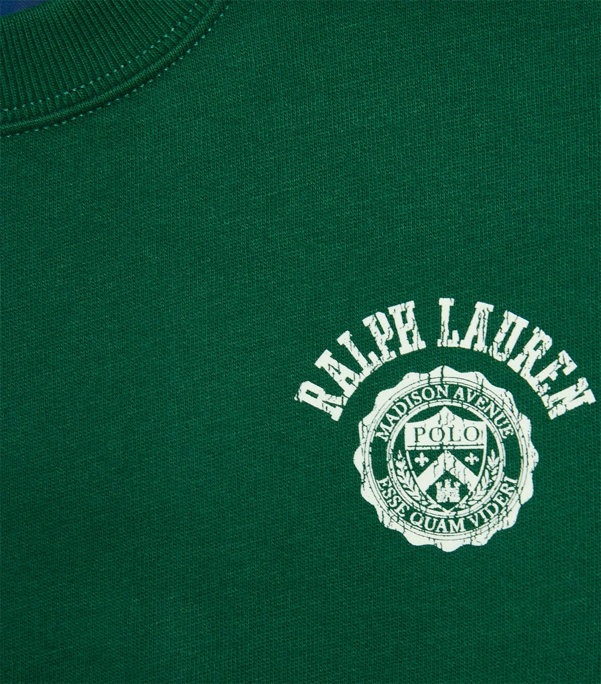 Ralph Lauren Kids Cotton-Blend Logo Sweatshirt (6-14 Years)