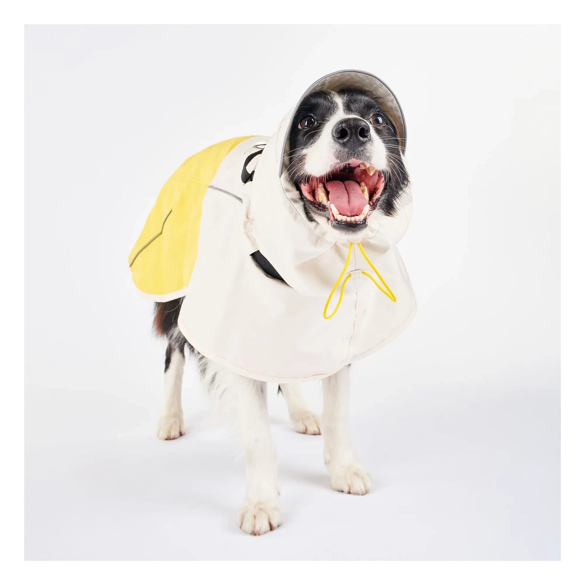 The Furry Folks - Venture rain coat | Yellow