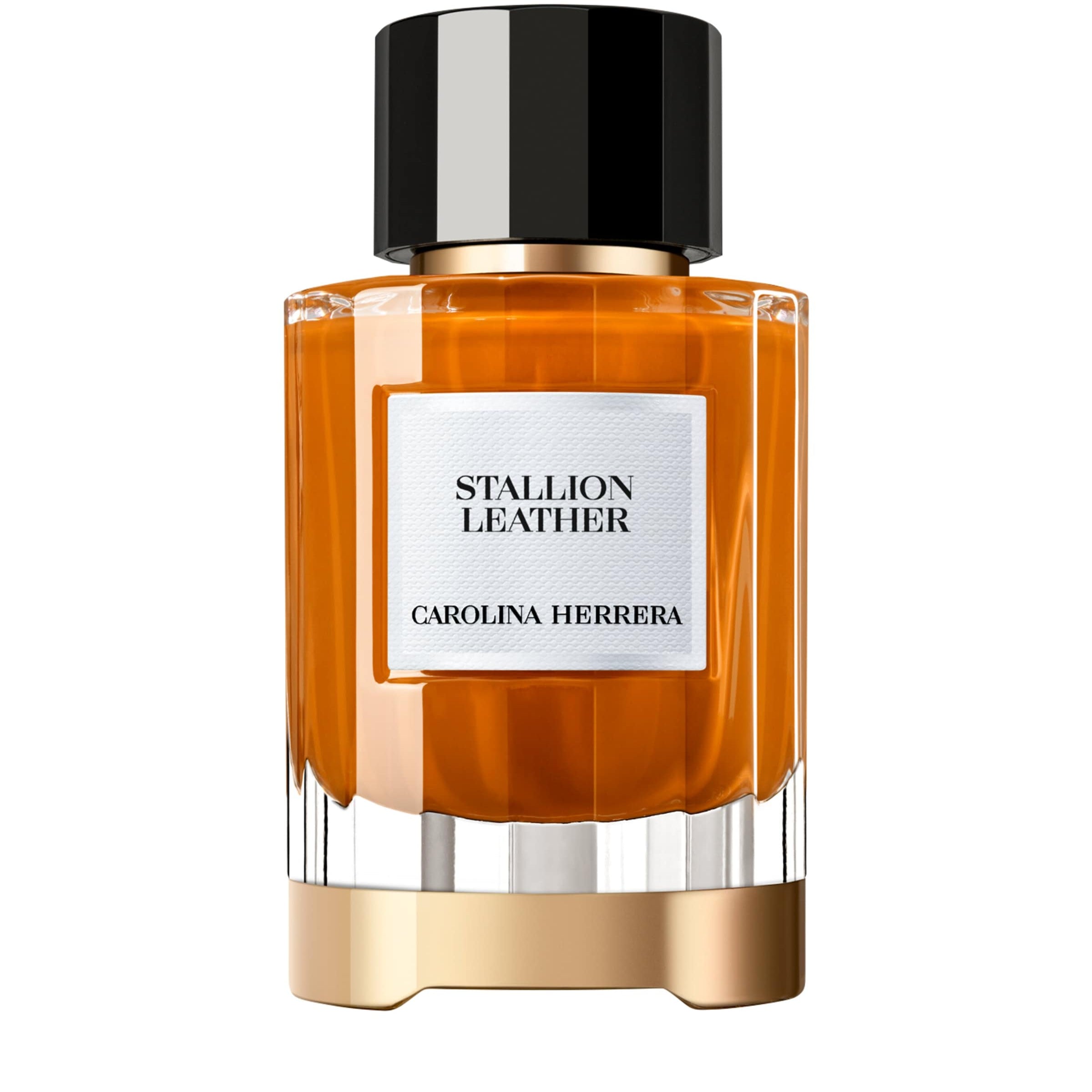 Stallion Leather Eau de Parfum (100ml)