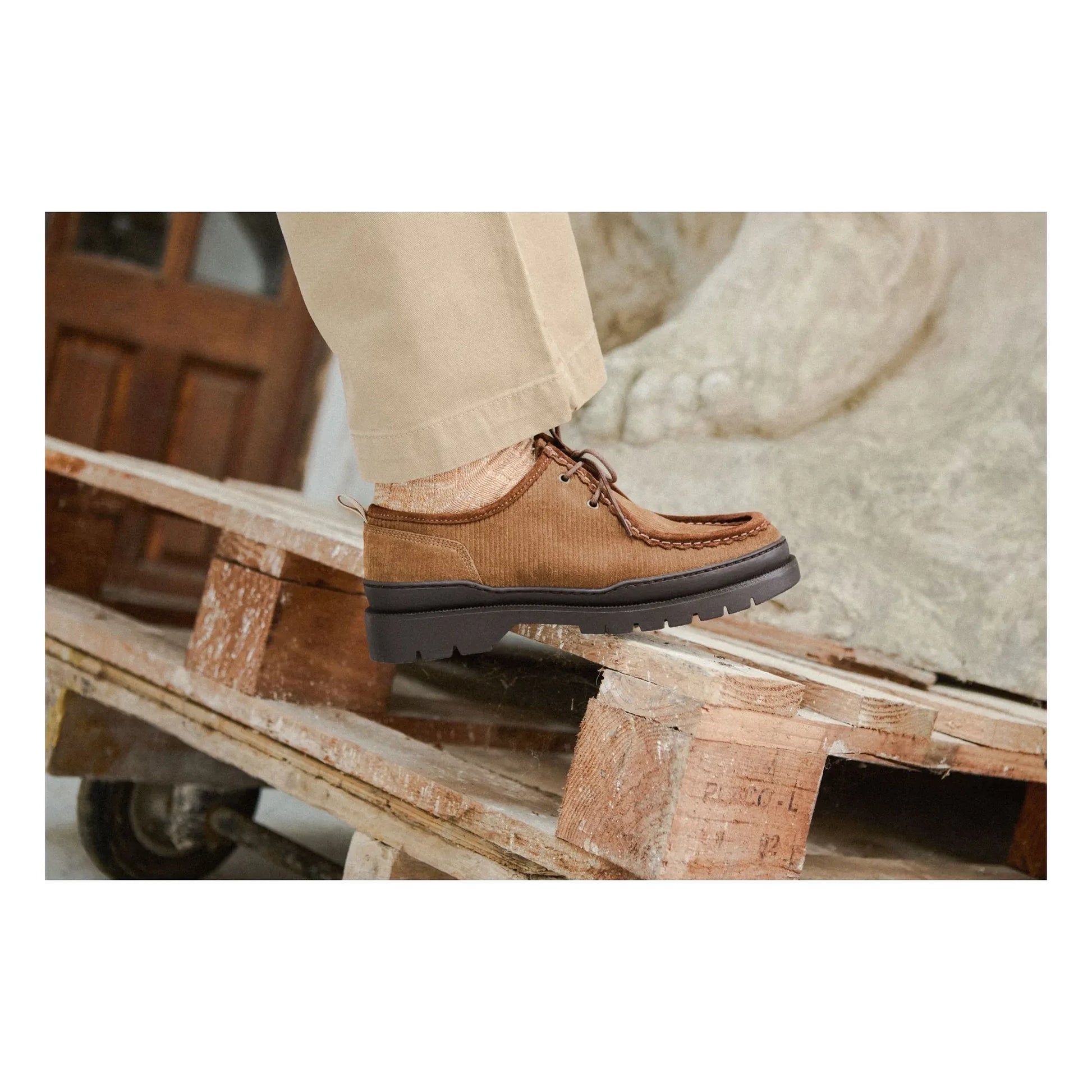 Kleman - Derbies Major VP OAK 2 Velours | Brown