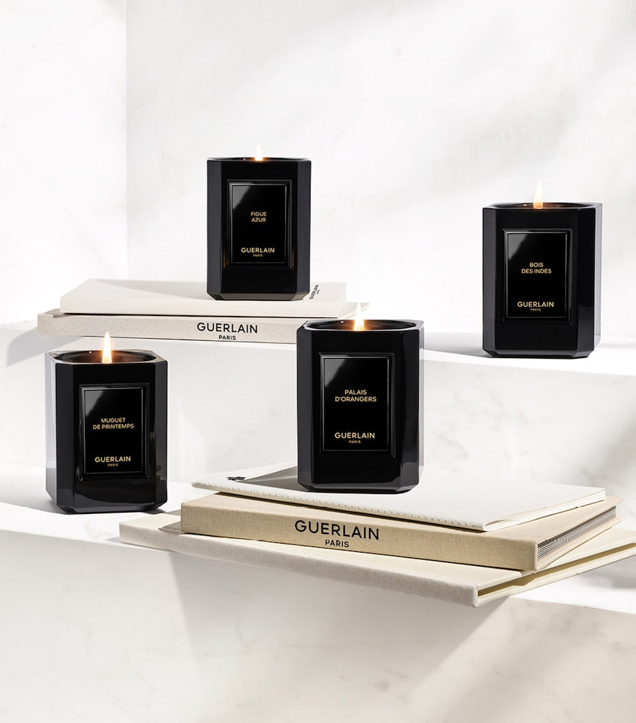 Épices Sous les Étoiles Candle (220g)