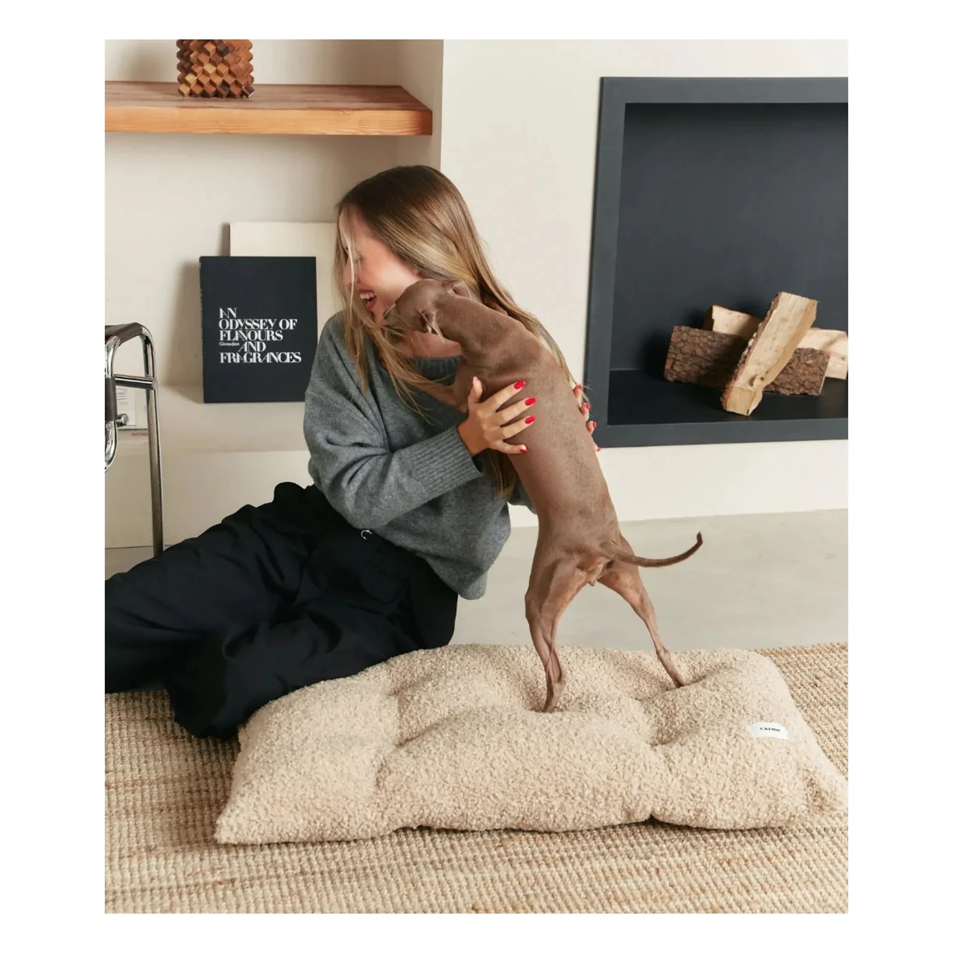 Cafide - Bela dog mattress | Beige