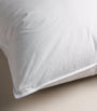 Firm Canadian Goose Down and Feather Pillow (50cm x 75cm)