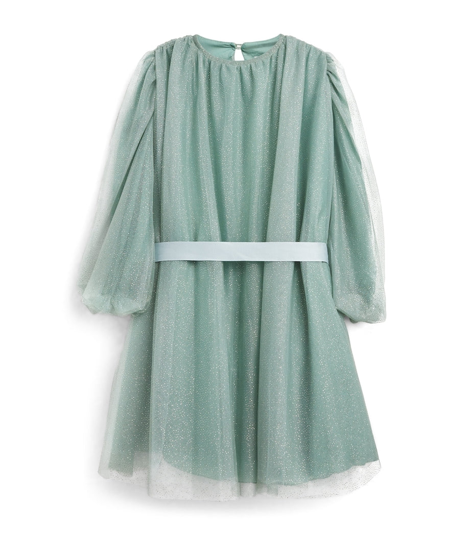 Green Tulle Glitter Dress (2-14 Years)