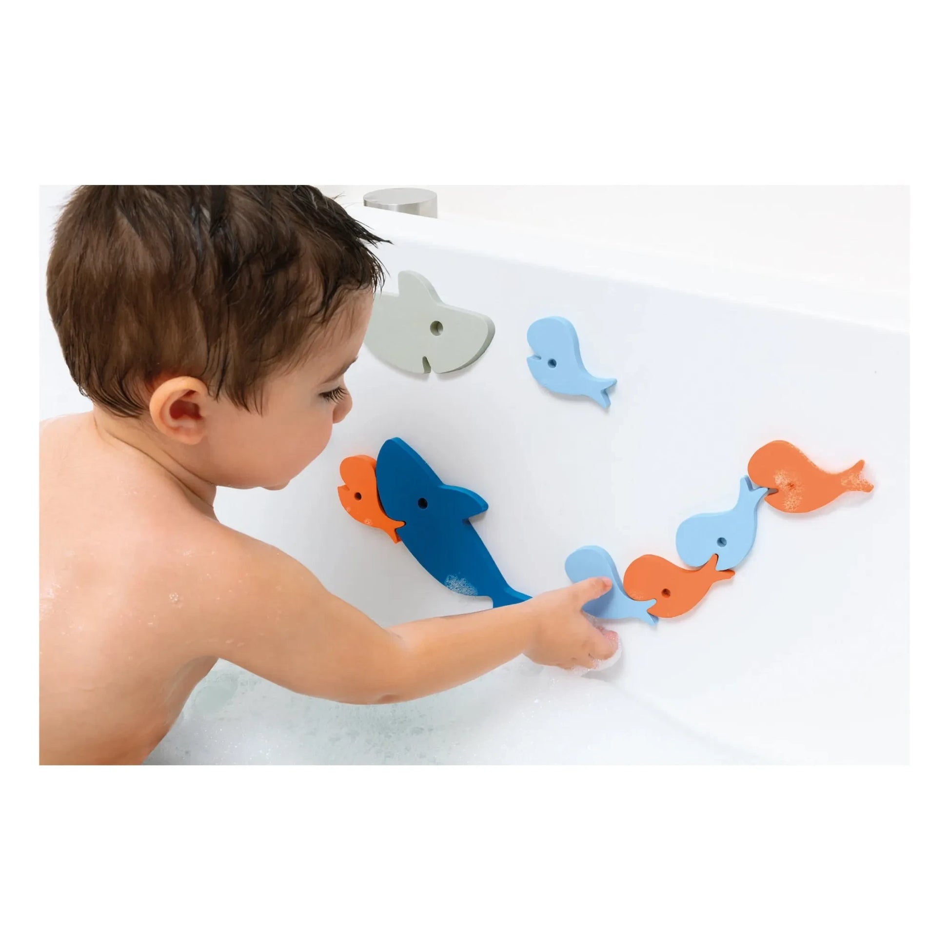 Quut - Shark bath puzzle