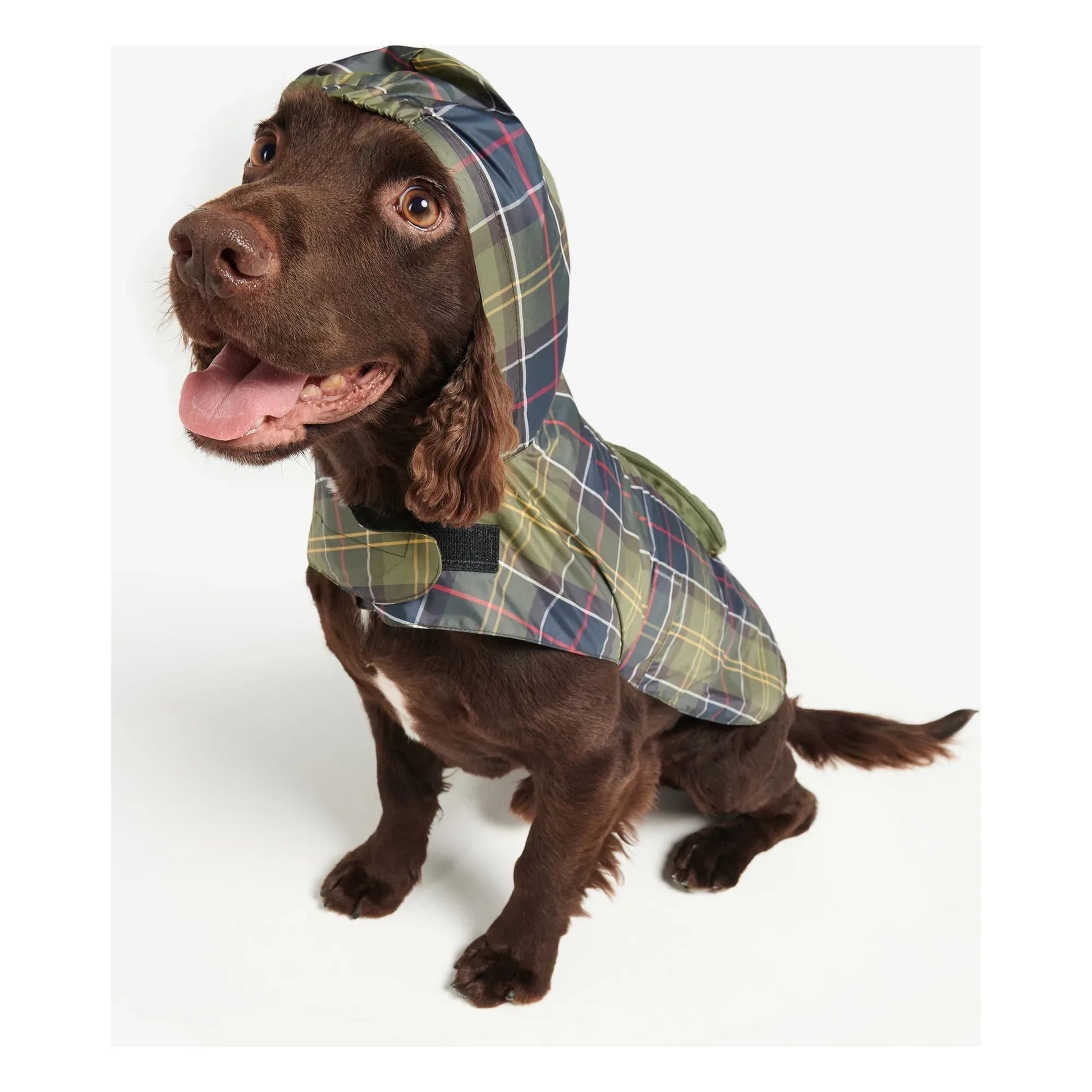 Barbour - Foldable Tartan coat for dogs | Blue