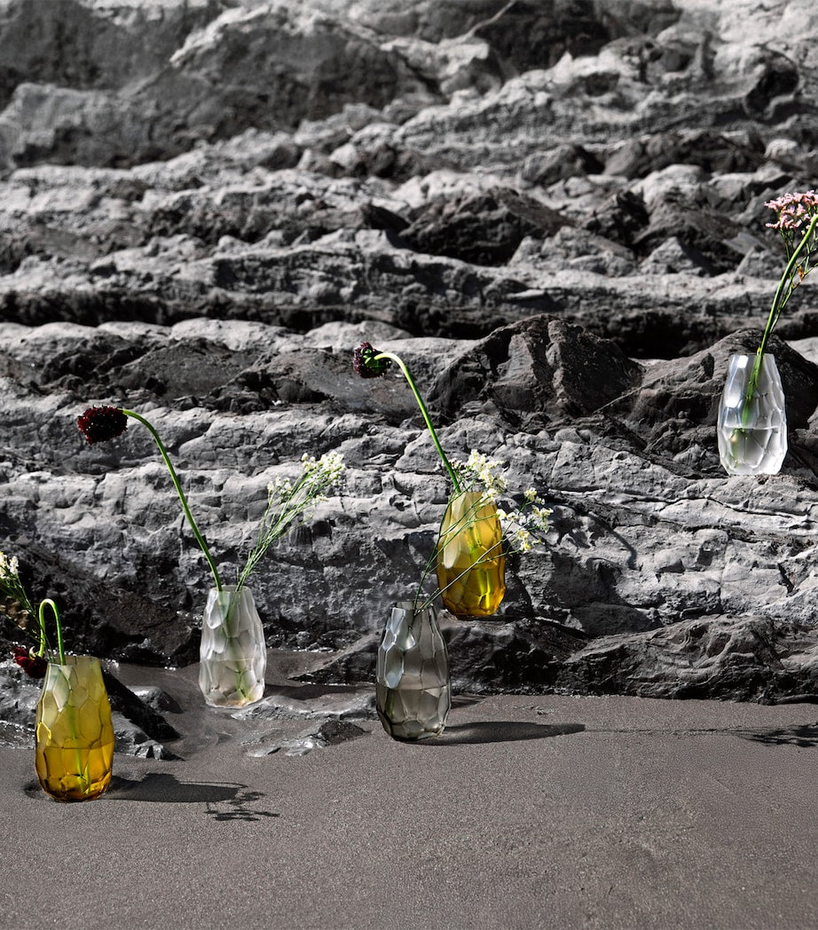 Small Crystal Silex Vase (14cm)