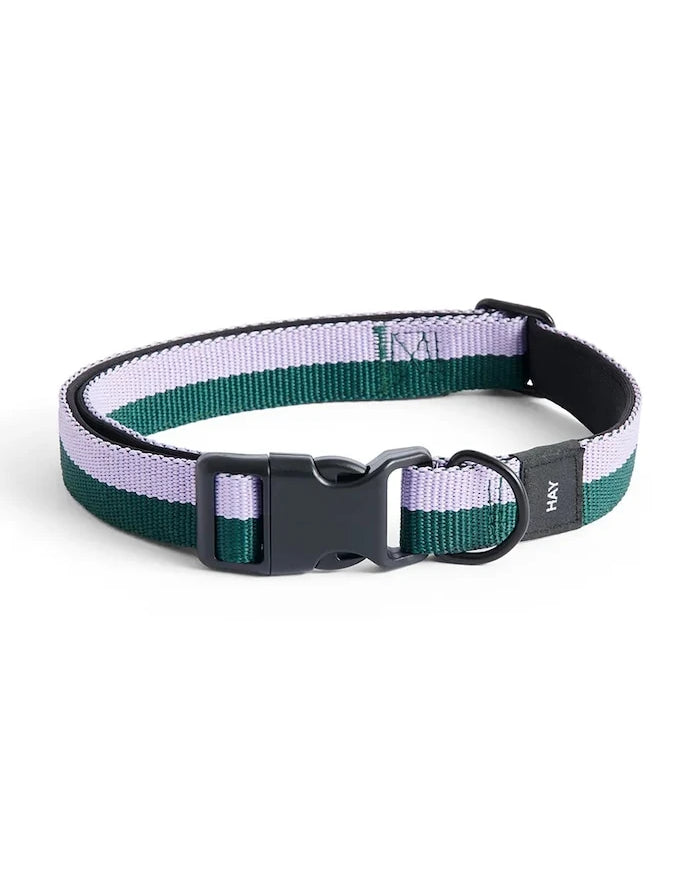 HAY Köpek Tasması M / L 2,5 x 40-65 cm